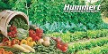 HUMMERT INTERNATIONAL