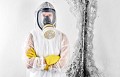 St Louis Mold Removal Pros